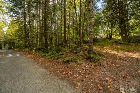 350 Craig Rd, Packwood, WA 98361