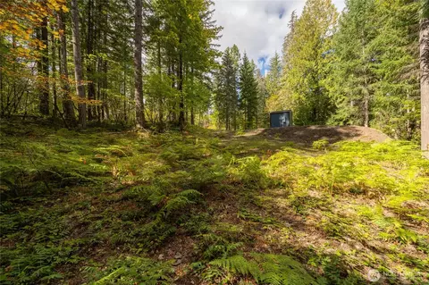 350 Craig Rd, Packwood, WA 98361 photo 3