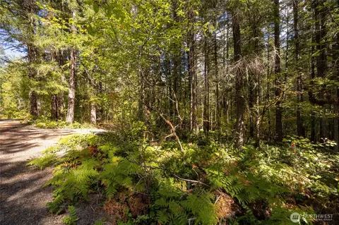 350 Craig Rd, Packwood, WA 98361 photo 5