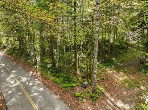 350 Craig Rd, Packwood, WA 98361 photo 4