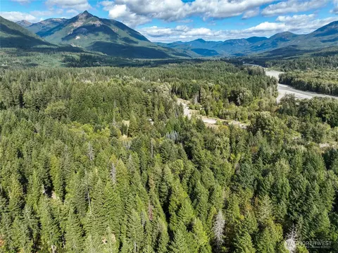 350 Craig Rd, Packwood, WA 98361 photo 11
