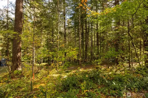 350 Craig Rd, Packwood, WA 98361 photo 8