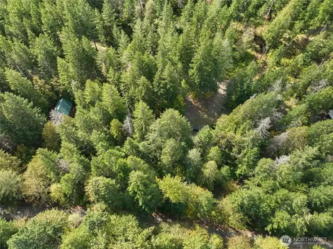 350 Craig Rd, Packwood, WA 98361 photo 13