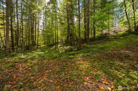 350 Craig Rd, Packwood, WA 98361 photo 7