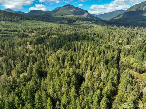 350 Craig Rd, Packwood, WA 98361 photo 12