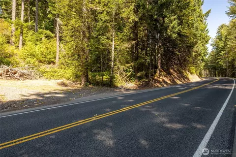 0 Lt 12 Skate Creek Rd S, Packwood, WA 98361