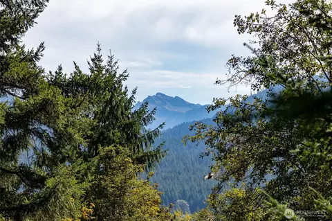 199 Hinkle Tinkle Ln, Packwood, WA 98361
