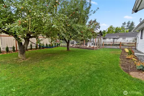Exterior - 308 Baker St, Everson, WA 98247 photo 14 of 21