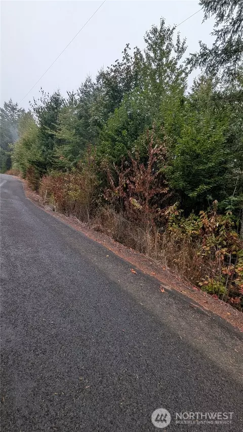 0 Loop Rd, Centralia, WA 98531 photo 2