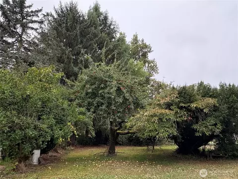 Exterior - 1636 Rice Rd, Chehalis, WA 98532 photo 13 of 14