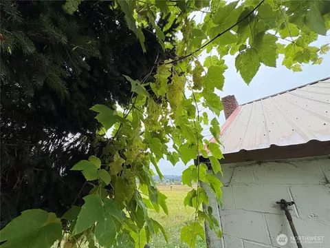 Other - 1636 Rice Rd, Chehalis, WA 98532 photo 7 of 8