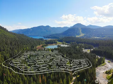 15 Nn Snowshoe Ln, Snoqualmie Pass, WA 98068
