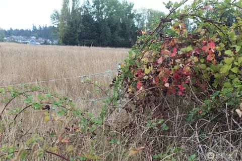 0 E Brownfield Rd, Sequim, WA 98382 photo 3
