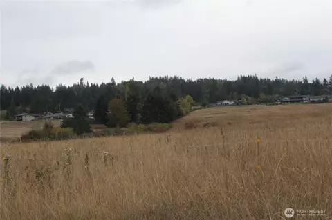 0 E Brownfield Rd, Sequim, WA 98382 photo 4