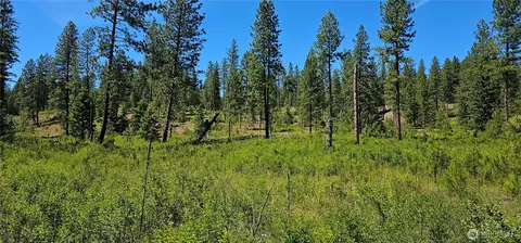 20 X Lynx Rd, Inchelium, WA 99138