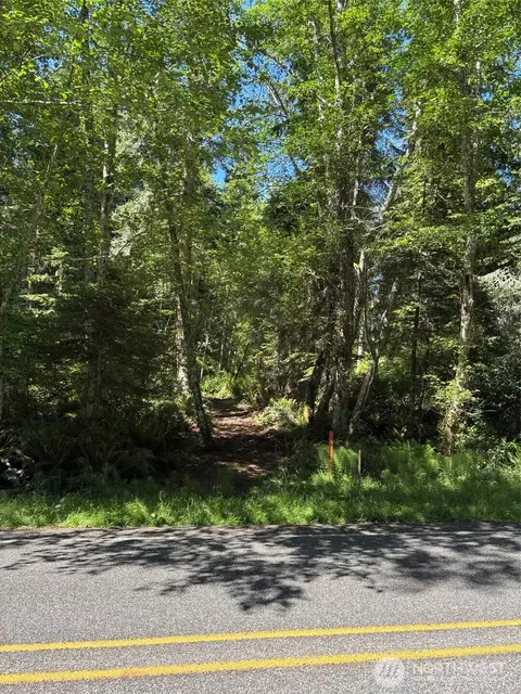 0 E Harbor Dr, Langley, WA 98260 photo 2