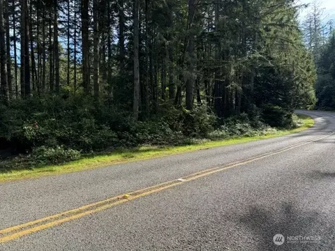11503 Lake Josephine Ave, Anderson Island, WA 98303