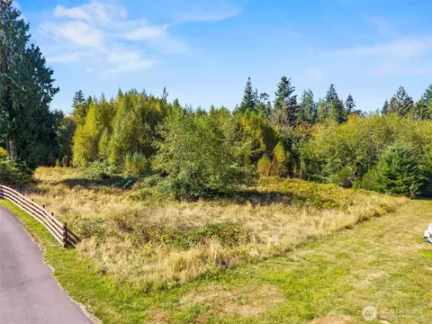 8 Cougar Falls Ln, Cathlamet, WA 98612