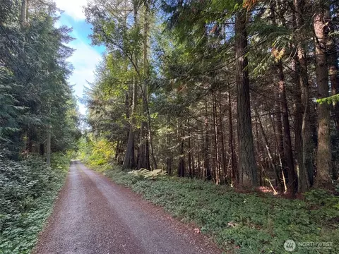 0 White Deer Ln, Sequim, WA 98382 photo 23