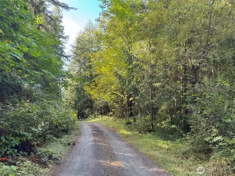 0 White Deer Ln, Sequim, WA 98382 photo 20