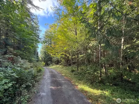 0 White Deer Ln, Sequim, WA 98382 photo 21