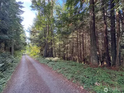 0 White Deer Ln, Sequim, WA 98382 photo 25