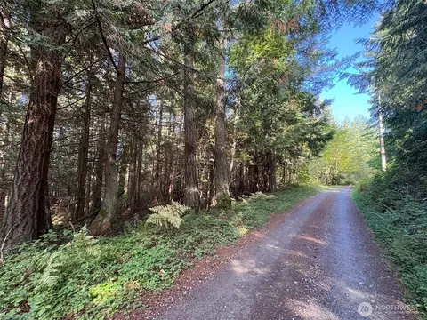 0 White Deer Ln, Sequim, WA 98382 photo 16