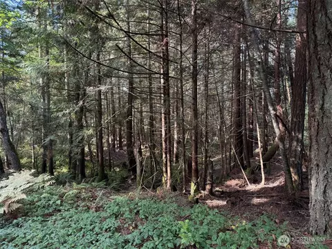 0 White Deer Ln, Sequim, WA 98382 photo 24