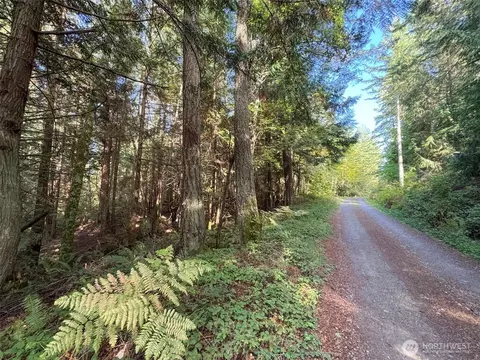 0 White Deer Ln, Sequim, WA 98382 photo 15