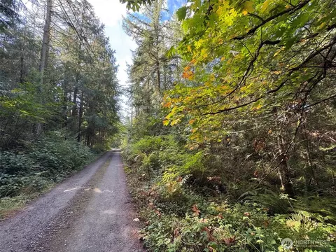 0 White Deer Ln, Sequim, WA 98382 photo 26