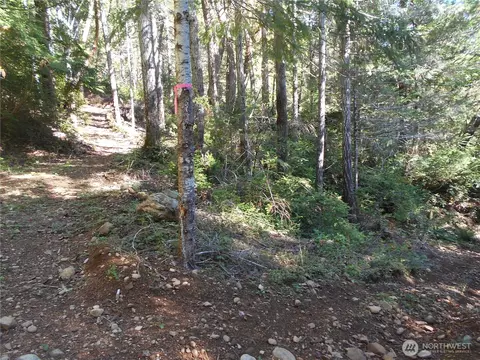 0 Hwy 101, Brinnon, WA 98320 photo 38