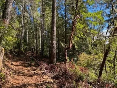 0 Hwy 101, Brinnon, WA 98320 photo 18