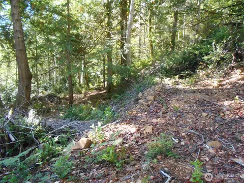 0 Hwy 101, Brinnon, WA 98320 photo 28
