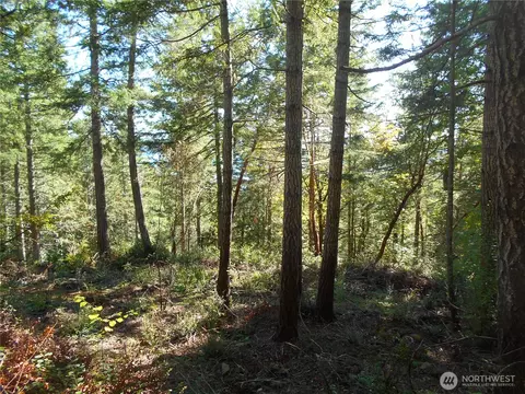 0 Hwy 101, Brinnon, WA 98320 photo 33