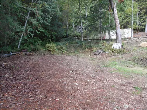 0 Hwy 101, Brinnon, WA 98320 photo 10