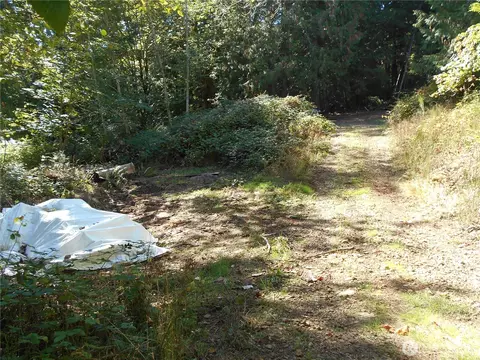 0 Hwy 101, Brinnon, WA 98320 photo 24
