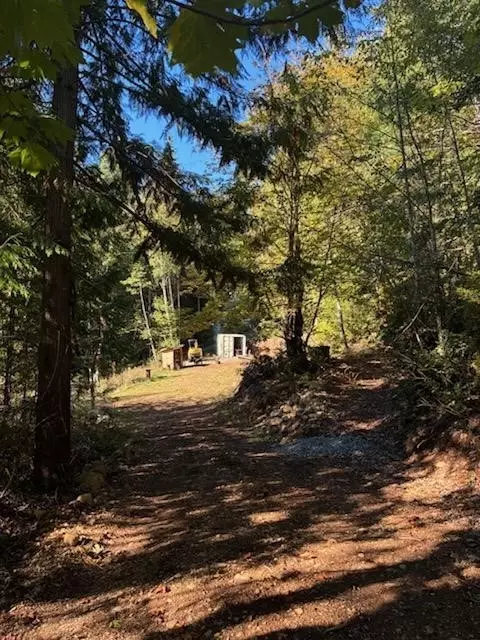 0 Hwy 101, Brinnon, WA 98320 photo 31