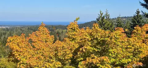 View/Area - 242 Forest Haven Dr, Sequim, WA 98382 photo 3 of 3