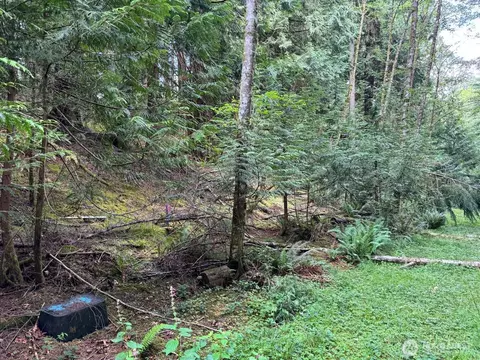 17 Black Bear Ct, Bellingham, WA 98229