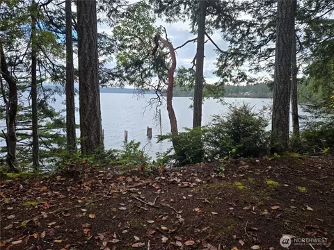 91 Pleasant Harbor Rd, Brinnon, WA 98320