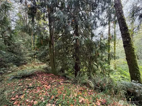 376 E Nn E Lake Walker Dr SE #A, Enumclaw, WA 98022 photo 7