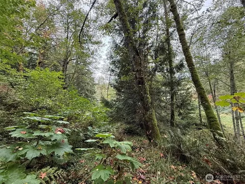 376 E Nn E Lake Walker Dr SE #A, Enumclaw, WA 98022 photo 12