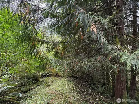 376 E Nn E Lake Walker Dr SE #A, Enumclaw, WA 98022 photo 11