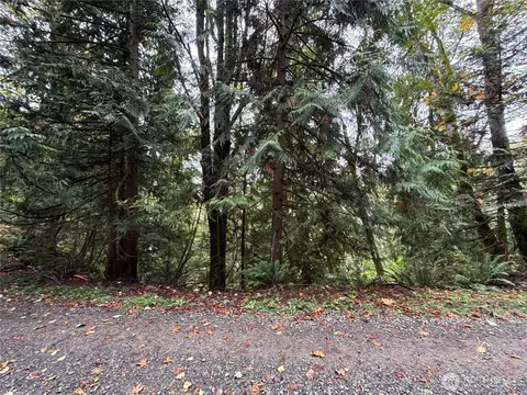 376 E Nn E Lake Walker Dr SE #A, Enumclaw, WA 98022 photo 4