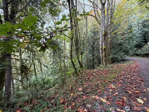 376 E Nn E Lake Walker Dr SE #A, Enumclaw, WA 98022 photo 6