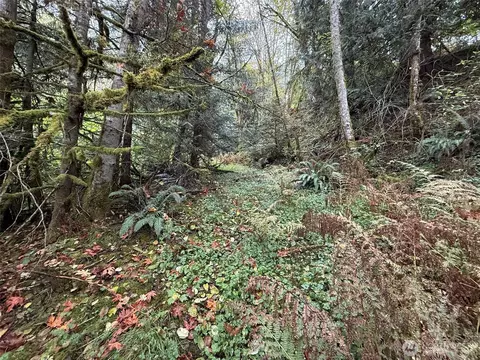 376 E Nn E Lake Walker Dr SE #A, Enumclaw, WA 98022 photo 13