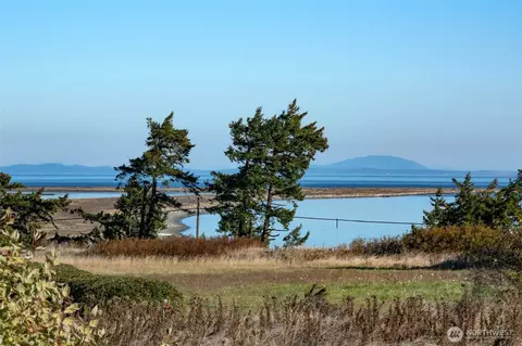 View/Area - 1434 Marine Dr, Sequim, WA 98382 photo 3 of 6