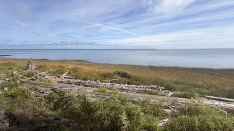 176 Sunrise Ave SE, Ocean Shores, WA 98569