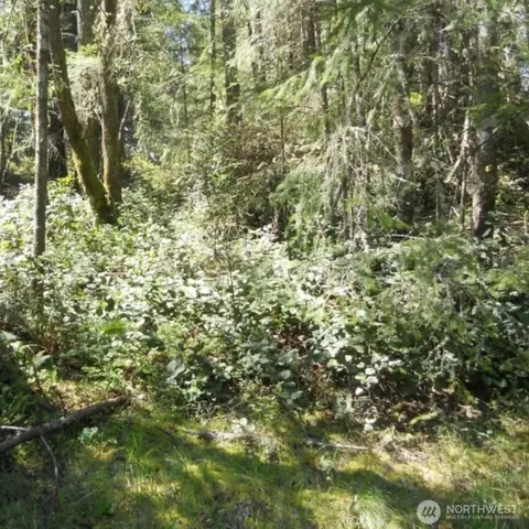 10510 Olympic Pl, Anderson Island, WA 98303