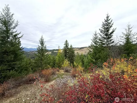 91 Edgewood Ln, Curlew, WA 99118